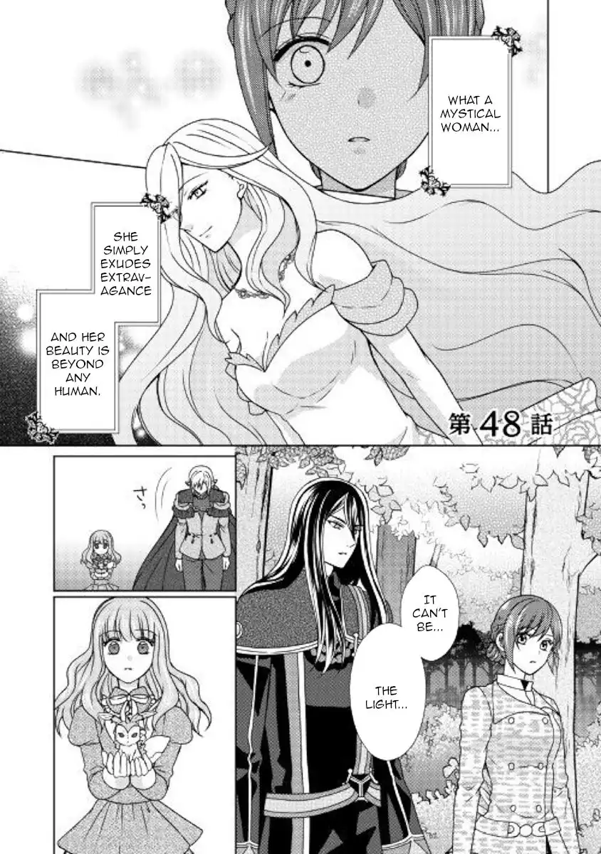 From Maid to Mother Chapter 48 1